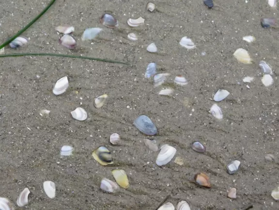 Beach with boardwalk, playground, magical mansion, and kayak rentals to kayak to sea caves, plus cafes nearby.