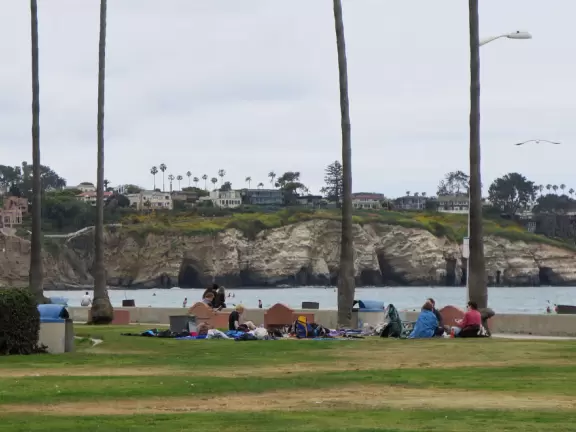 Playground by the sea with whale sculpture, shade canopies, climbies, spinning monkey bars, baby swings, low twisted trees to climb, and grass to run on.