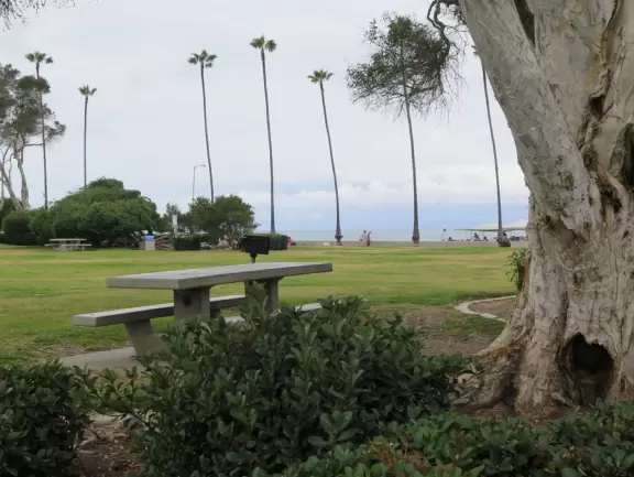 Playground by the sea with whale sculpture, shade canopies, climbies, spinning monkey bars, baby swings, low twisted trees to climb, and grass to run on.