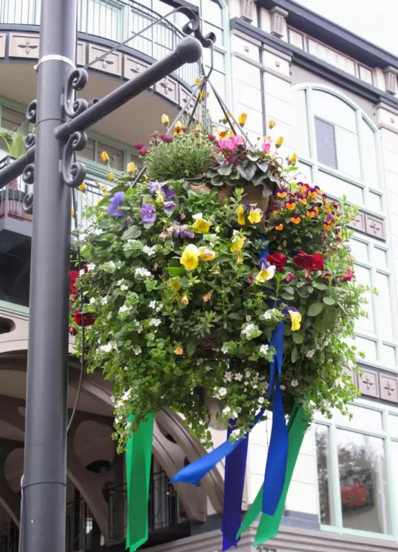 A sophisticated European-style development with shops, cafes, fountains, gorgeous architecture, and the most amazing flower baskets!