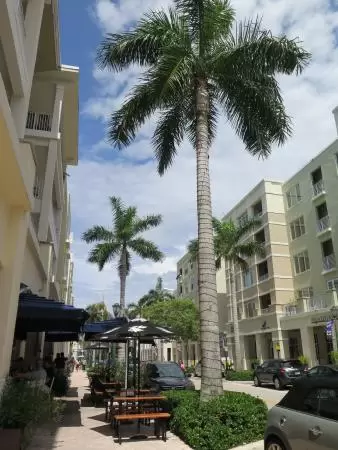 Development with restaurants that cater to the baseball fans that come to spring training games at Roger Dean Stadium, plus a taco cafe, Cuban cafe, and a great coffee shop.