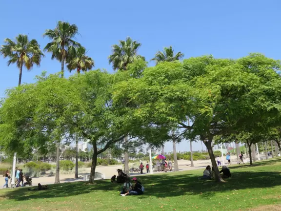 A gorgeous new development, with restaurants overlooking the harbor and colorful walkways.