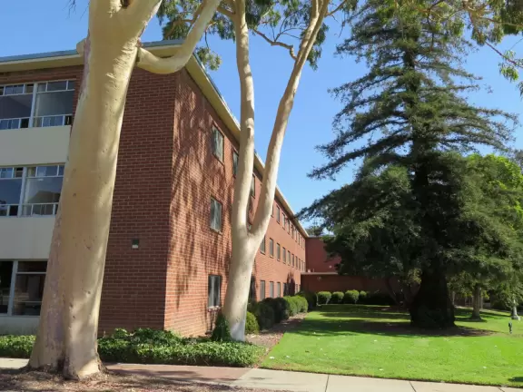 Hilly, sunny campus with tall, impressive trees and green lawns. A hands-on learning university.