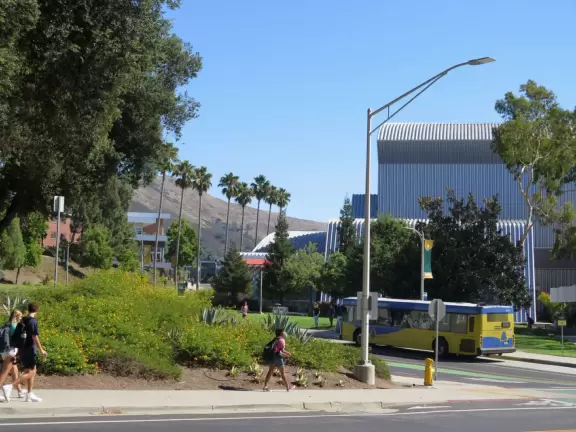 Hilly, sunny campus with tall, impressive trees and green lawns. A hands-on learning university.