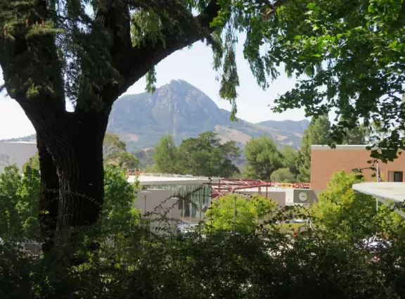 Hilly, sunny campus with tall, impressive trees and green lawns. A hands-on learning university.