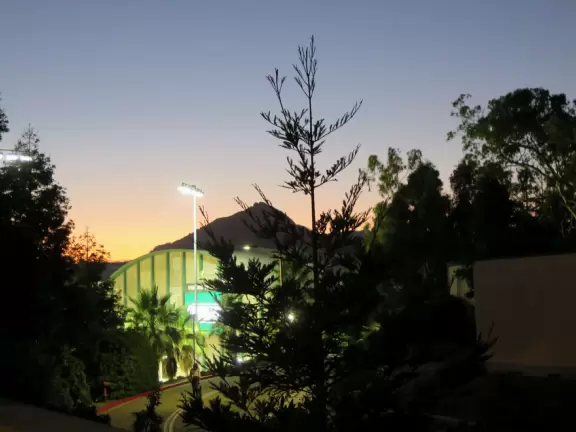 Hilly, sunny campus with tall, impressive trees and green lawns. A hands-on learning university.