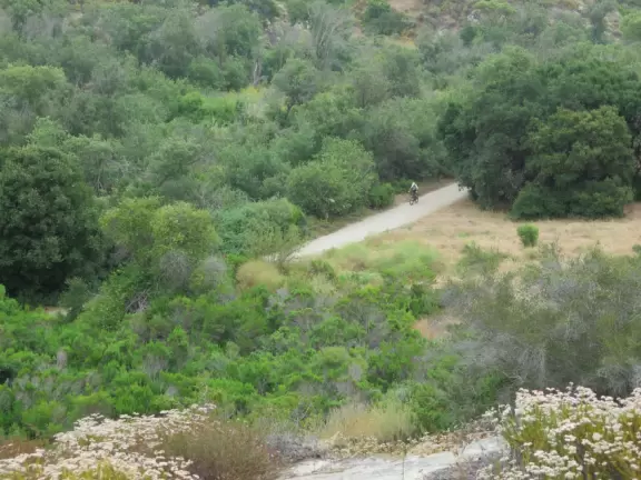Wide paved sunny road for bike riding or to walk 1.5 miles to the Cave Rock and Dripping Cave trailhead.