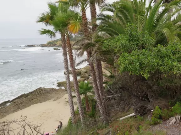 Rock pools, tropical vegetation, gorgeous cliffs and bird rock jutting out of the sea.