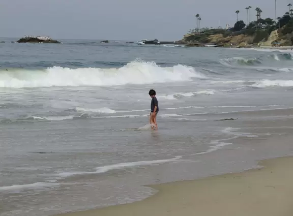 Fun beach with many spots to explore, including rock pools, a walking path with flowers above the sea, basketball courts, a playground, and a lawn by the beach.