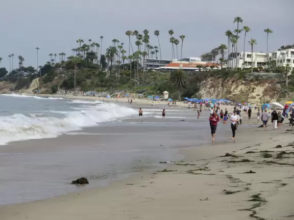 Fun beach with many spots to explore, including rock pools, a walking path with flowers above the sea, basketball courts, a playground, and a lawn by the beach.