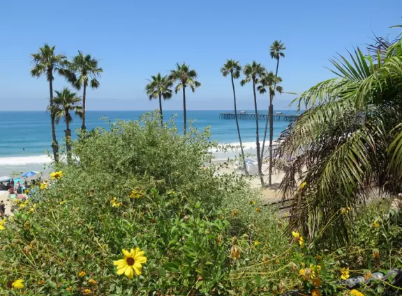 2.5 mile hard-packed dirt path along the water, past T-Street Beach Pier.