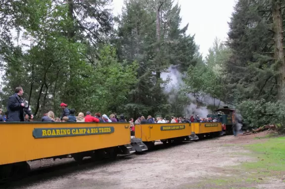 A train ride in an open car into the redwood forest among glorious old trees- a dream!