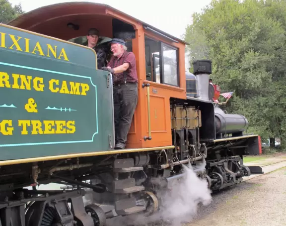 A train ride in an open car into the redwood forest among glorious old trees- a dream!