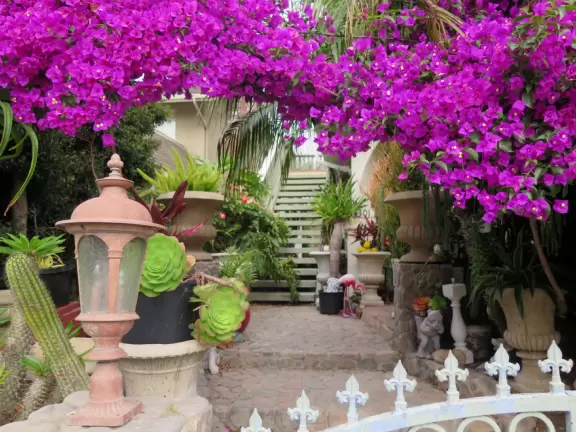 Lookout point over the harbor and a 200m walk in front of clifftop houses. Near cute modern development.