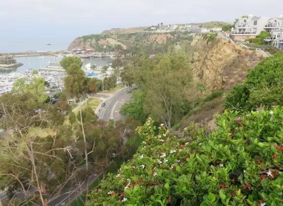 Lookout point over the harbor and a 200m walk in front of clifftop houses. Near cute modern development.