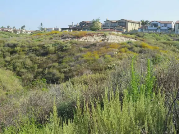 Gorgeous hike through sagebrush with views of the ocean. Space age playground too.