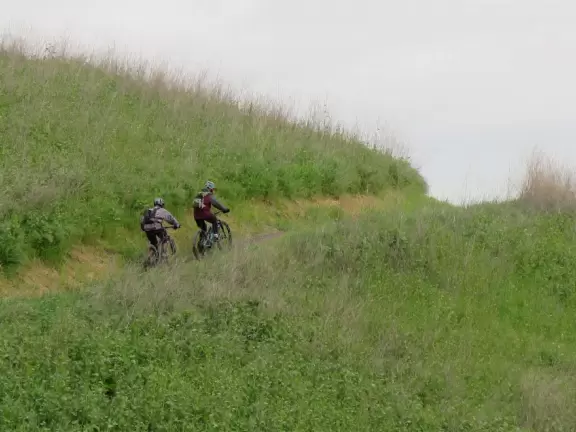 Steep walk up a narrow trail with wildflowers and ocean views. Loud noise from freeway (unless you take the inland trail), limited parking, and lots of people on mountain bikes.