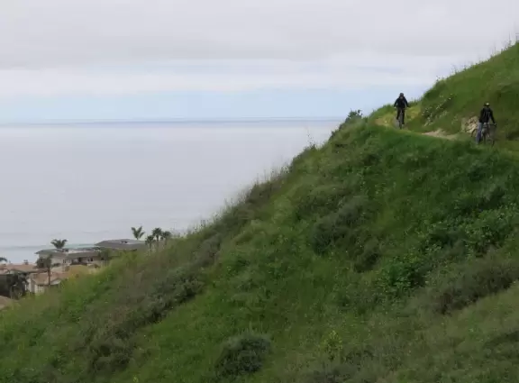 Steep walk up a narrow trail with wildflowers and ocean views. Loud noise from freeway (unless you take the inland trail), limited parking, and lots of people on mountain bikes.