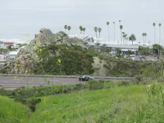 Steep walk up a narrow trail with wildflowers and ocean views. Loud noise from freeway (unless you take the inland trail), limited parking, and lots of people on mountain bikes.