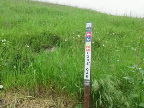 Steep walk up a narrow trail with wildflowers and ocean views. Loud noise from freeway (unless you take the inland trail), limited parking, and lots of people on mountain bikes.