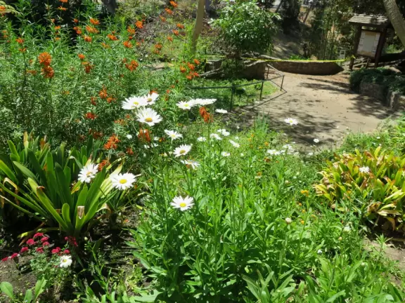 Little sunken garden near Casa de Balboa, near the center of Balboa Park.