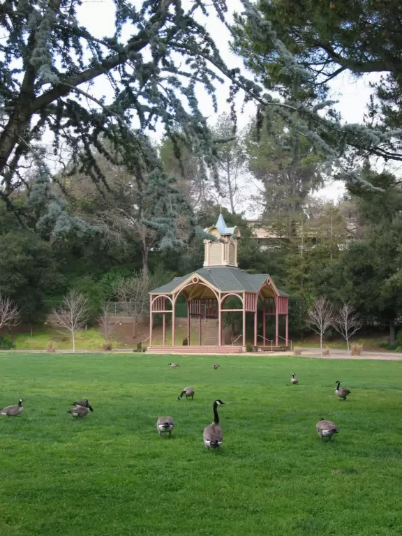 A fantastic park a&nbsp;jet plane, fire engine, and train to climb! Carousel, railroad rides, summertime paddle boat rides, walkway along a gorgeous creek, amazing tall pines, two play structures, and geese!