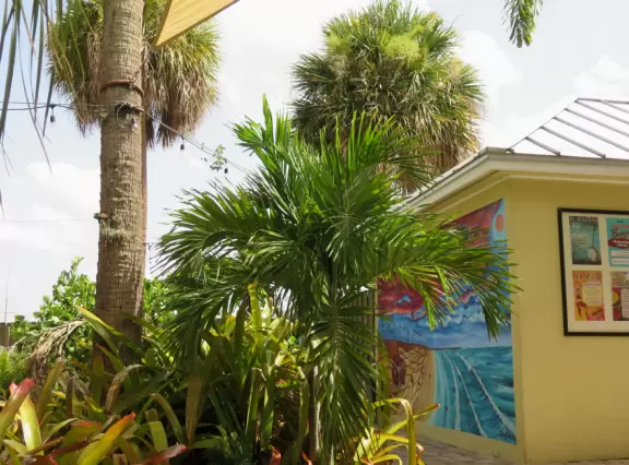 Sleepy, modest town. Good place to start a drive down Indian River Rd, or to enjoy a coffee at Old Florida Coffee Co, the most attractive spot in town.