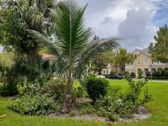 Lovely sidewalks lined with trees, where you pass fountains, parks, and colorful townhouses.
