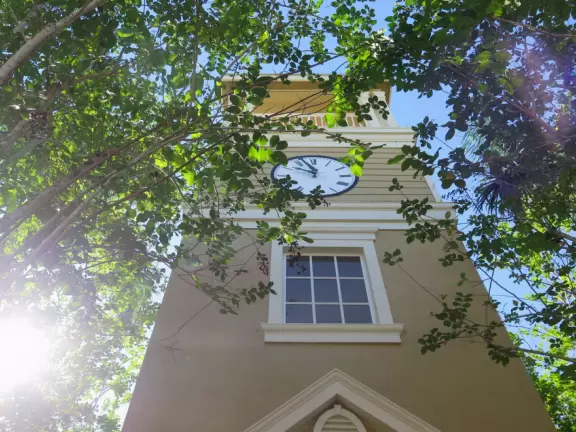 Lovely sidewalks lined with trees, where you pass fountains, parks, and colorful townhouses.
