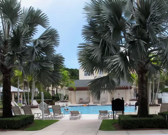 Lovely sidewalks lined with trees, where you pass fountains, parks, and colorful townhouses.
