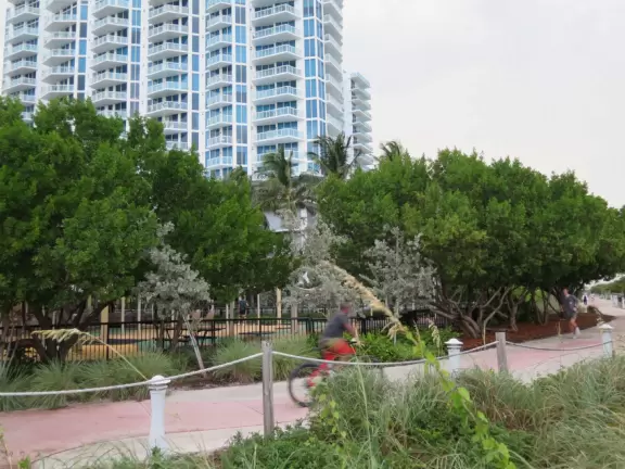 Beautiful beach with purple lifeguard shack, shady playground and park with turtle sculpture, and bike path that runs past it.