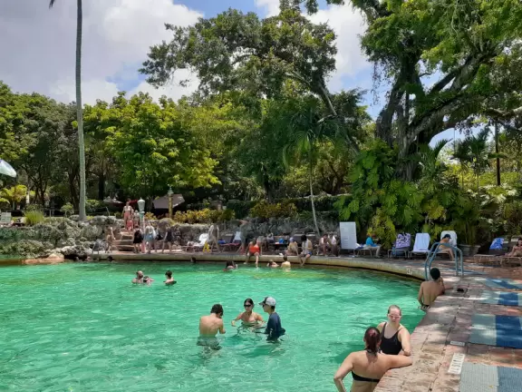 Unique spring-fed historical pool with Venetian-style buildings, bridge, striped posts, waterfall, caves, palms, and banyan tree. Glorious!