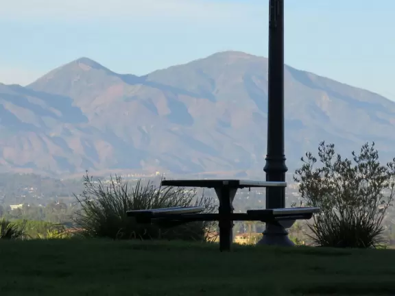 Playground and large sloping park with beautiful trees and views from high up.