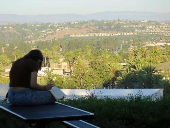 Playground and large sloping park with beautiful trees and views from high up.