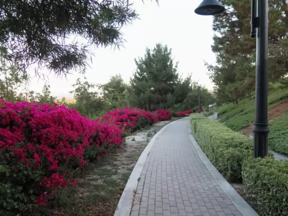 Street with shops and tiny coffee shop, and city views behind.