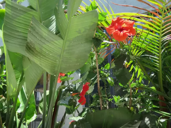 Small shopping center with cafes and trendy shops.