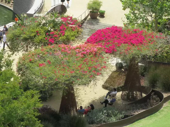 A massive architectural achievement with great views of LA, beautiful gardens, and a cool free monorail that takes you up!