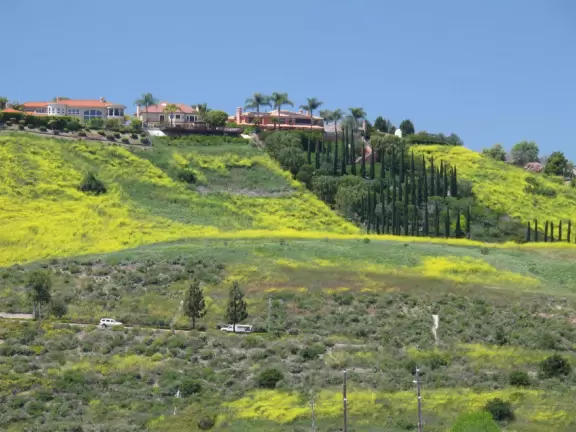 A handy place to stop when you're on a long drive: restaurants, hallways to run, and sunshine.