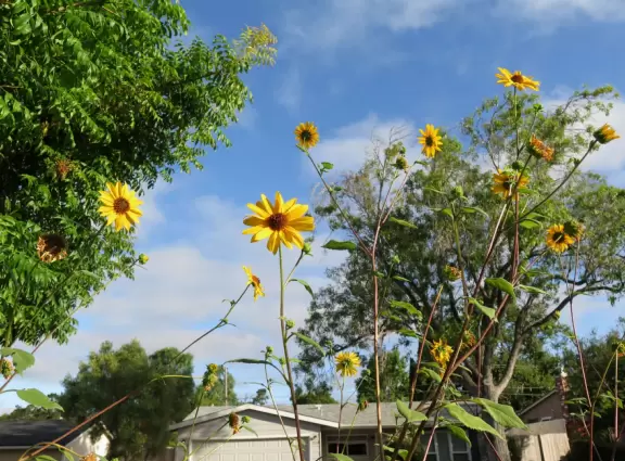 Best playground you'll ever visit! Huge slides, hillside slides, steep grass slope for cardboard sledding, cable zipline, and pretty trees to picnic under.