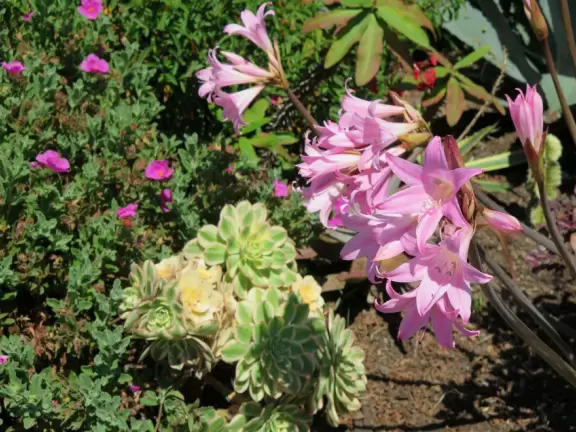 A tiny stretch of boardwalk in a beautiful setting on the estuary, with a coffee shop with a sunny patio facing the water, and cute cafes where you can relax.