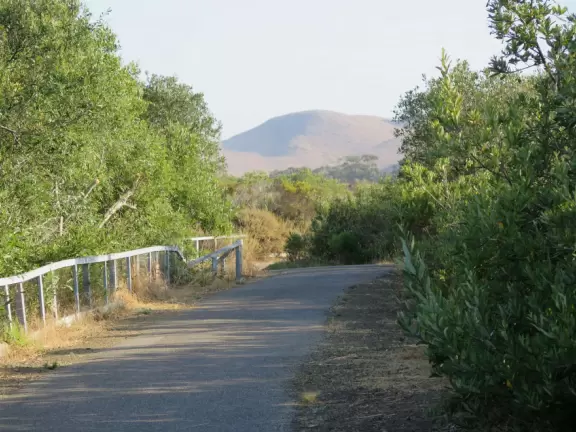 Lovely 0.7 mile walking path through the dunes filled with sage and flowers, past a playground, and behind some houses. Possible 3 mile walk, if you connect to Embarcadero.