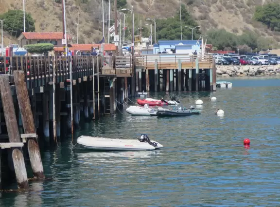 Harbor beach with hundreds of pelicans and sailboats bobbing in the water. Stunning views, seals barking on a floating dock, and outdoor cafe on Harford pier.