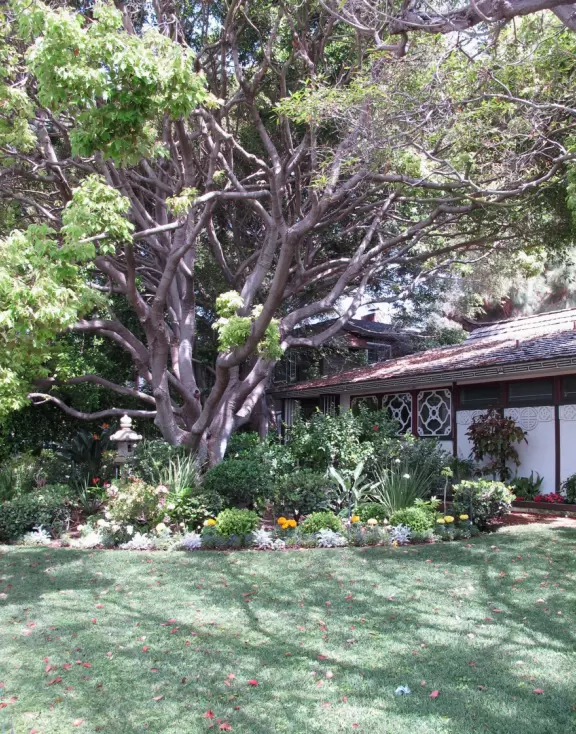 A walk among tropical trees and flowers, and the sweetest houses.