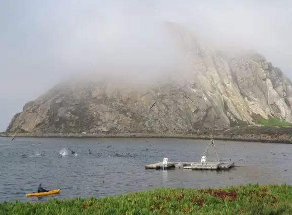 A walkway from Coleman Park to the base of Morro Rock, with views of sea otters on the left!
