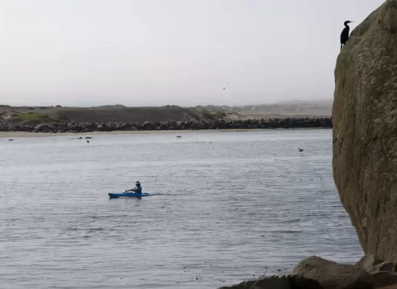 A walkway from Coleman Park to the base of Morro Rock, with views of sea otters on the left!