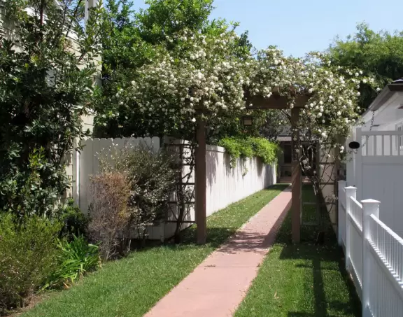 A walk among tropical trees and flowers, and the sweetest houses.