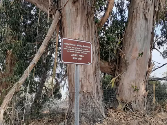 Blissful views of estuary and sailboats, eucalyptus trees, cypress trees, the bay and a little rocky point. Also called Windy Cove Hike.&nbsp;