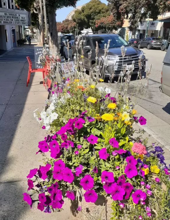 A lovely, hilly street with ocean views, lined with cute cafes.