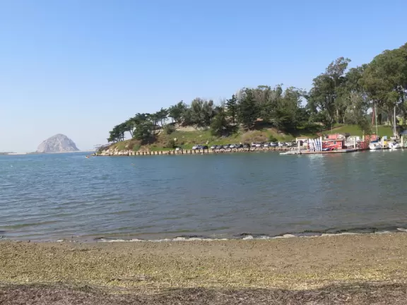 Flat wooden boardwalk loop trail along the estuary- you see divebombing pelicans, Morro Rock, cypress trees on the hills opposite, salt marsh, and mountains in the distance.