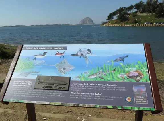 Flat wooden boardwalk loop trail along the estuary- you see divebombing pelicans, Morro Rock, cypress trees on the hills opposite, salt marsh, and mountains in the distance.